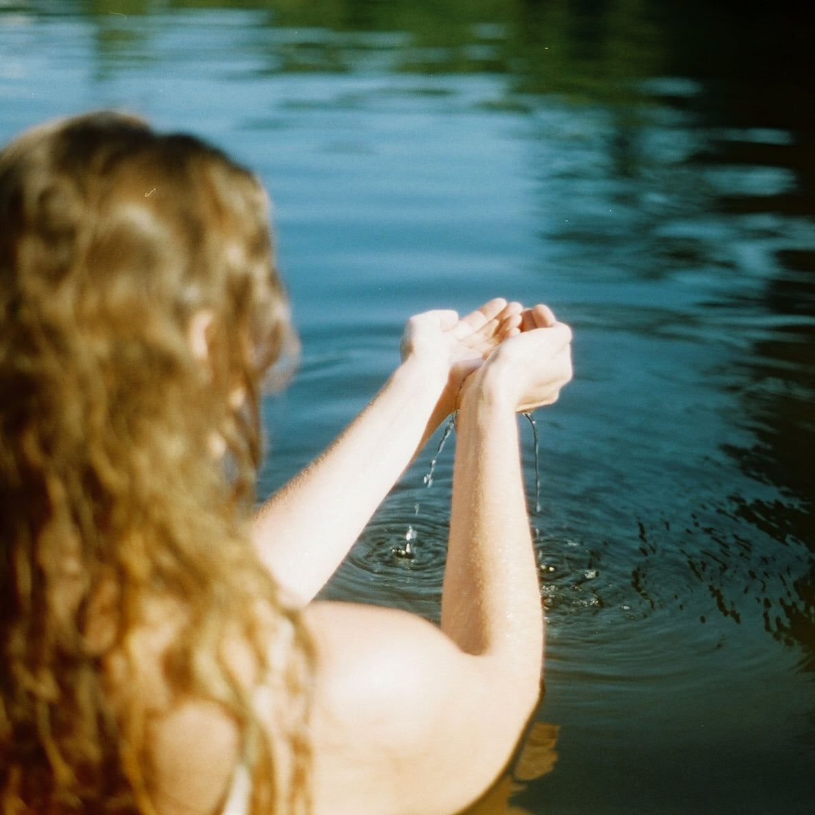 Herbal Hair Rinse