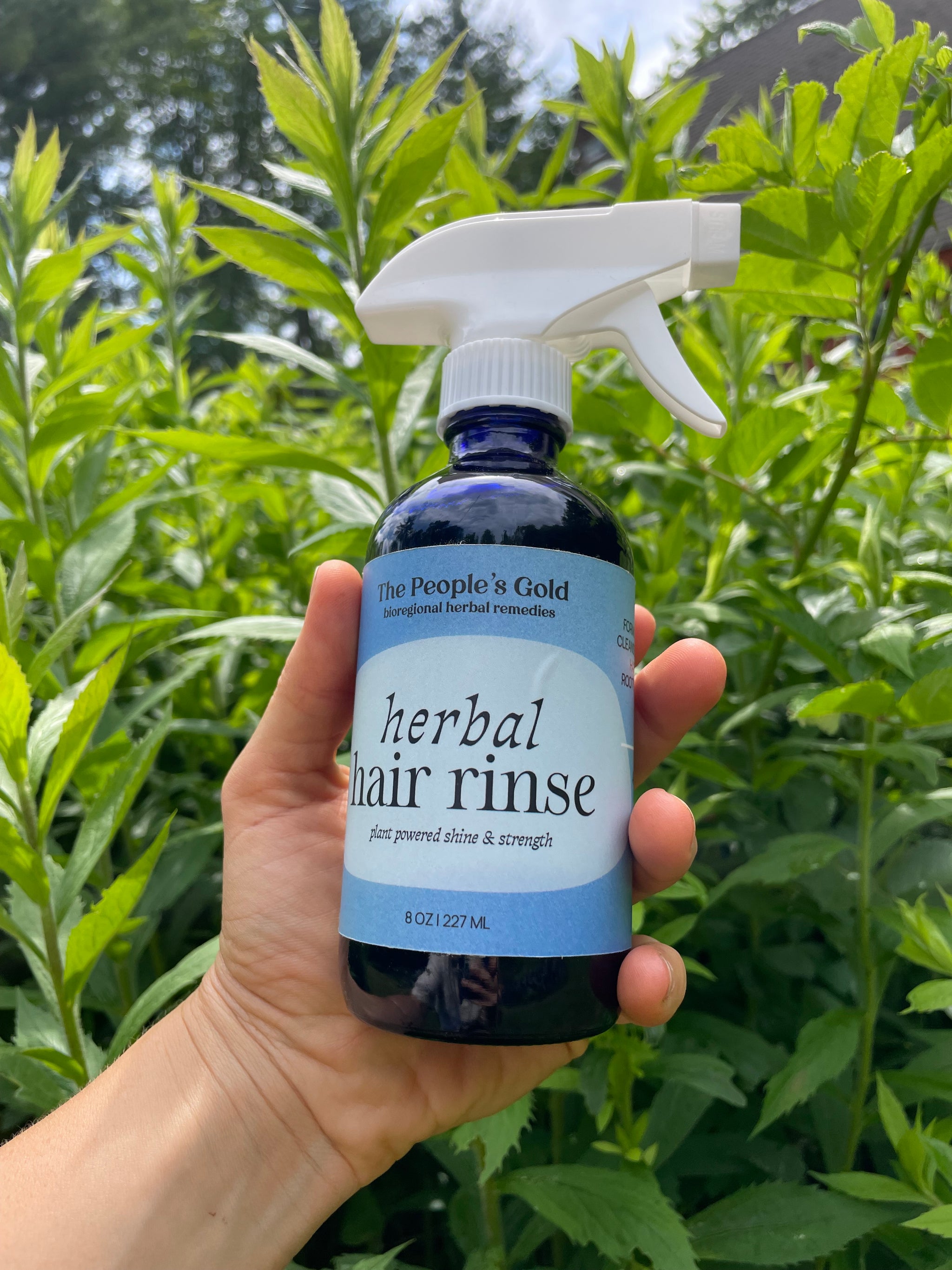 Herbal Hair Rinse